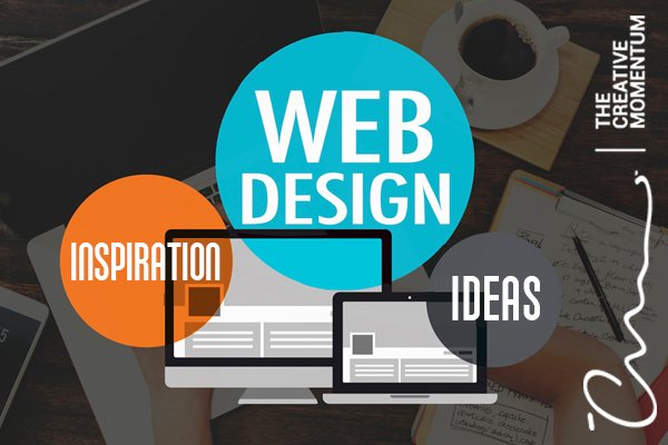 The Definitive Guide for Web Design Company Tampa